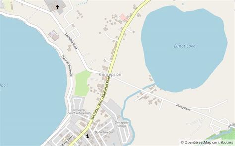 barangay concepcion san pablo city laguna|Concepcion, San Pablo .